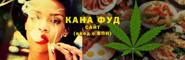 индика Магас
