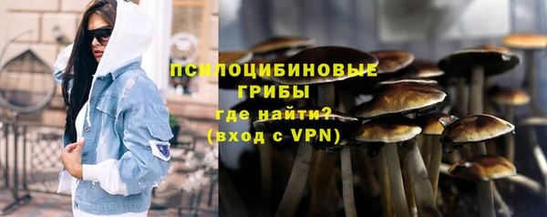 прущие грибы Лихославль