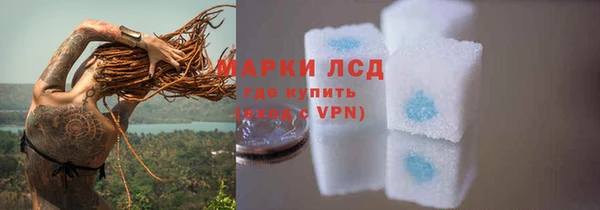индика Магас
