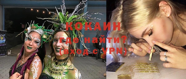 индика Магас