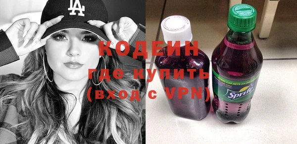 индика Магас