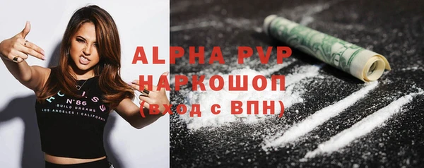 apvp Иннополис