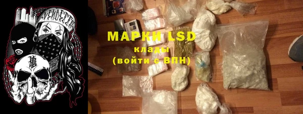 индика Магас