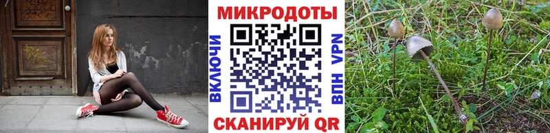 мега   Клин  Псилоцибиновые грибы мицелий 