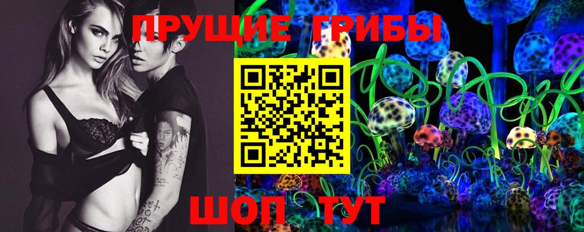 Псилоцибиновые грибы прущие грибы Клин