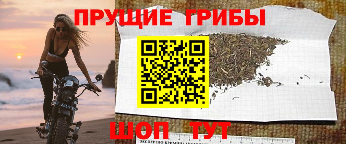 Клин  Галлюциногенные грибы Magic Shrooms  Вход с VPN  Галлюциногенные грибы Cubensis 