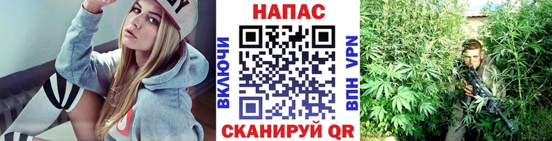 Канабис план  наркошоп  Клин 