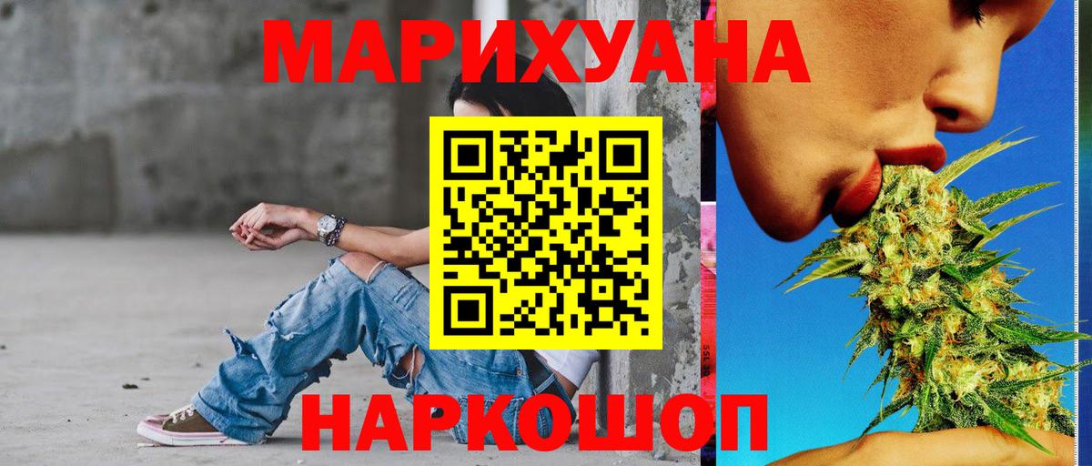 Конопля Amnesia  Клин  МАРИХУАНА конопля  Марихуана сатива 